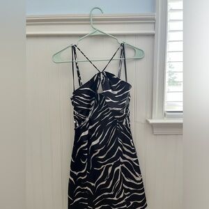 NWT Zara Zebra Print Mini Dress